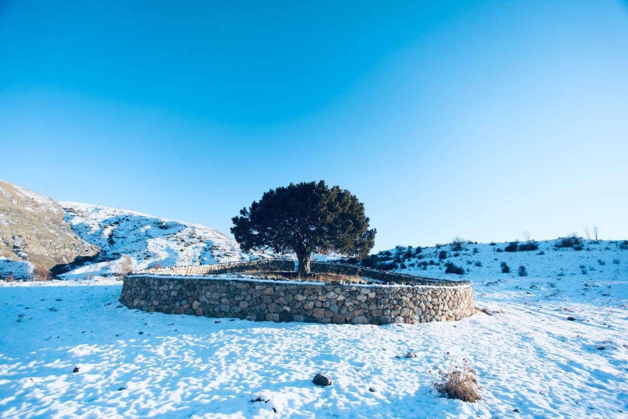 Baksi Konukevi By Anatolity Collection Hotel Bayburt  Exterior photo